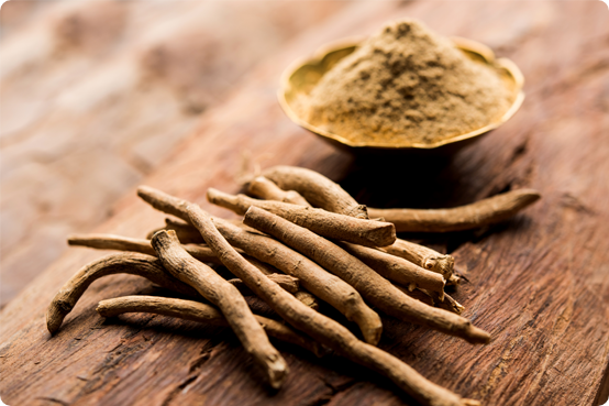 Withania Somnifera (Ashwagandha)