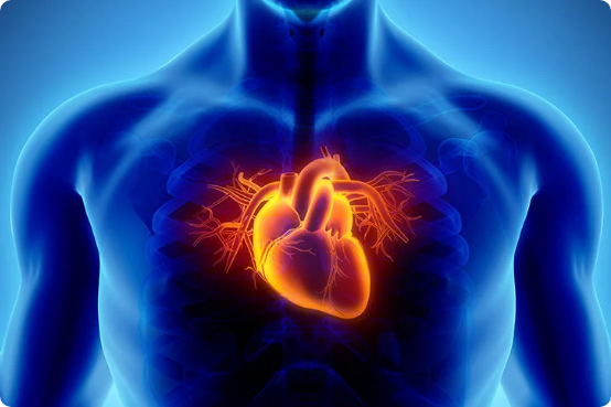 Heart Diseases