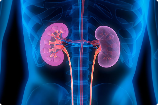 Kidney Diseases