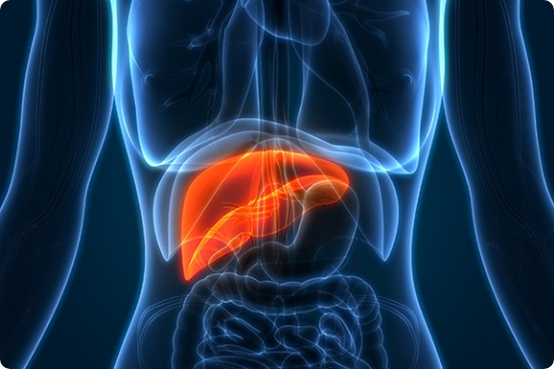Liver Diseases