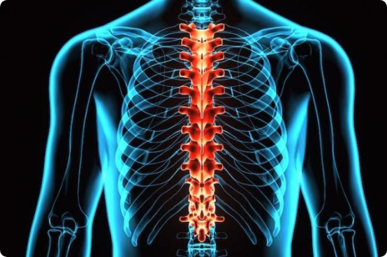 Spinal-Cord Diseases